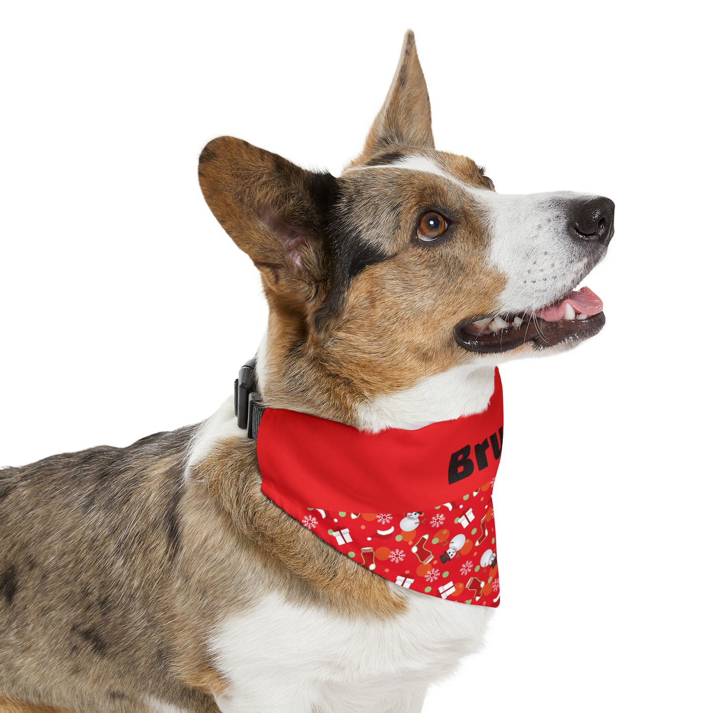 Personalized Christmas Pet Bandana Collar