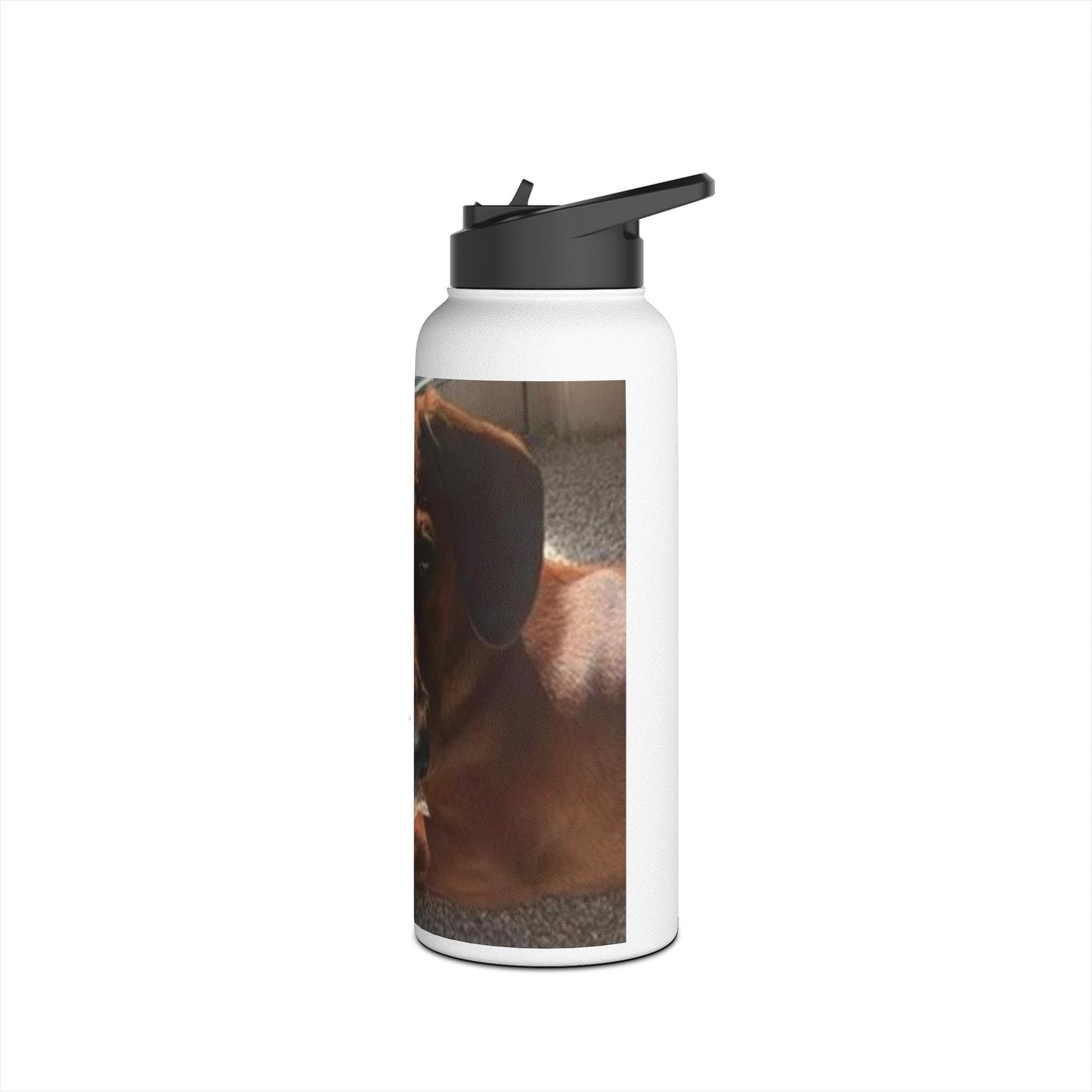 Customizeable Stainless Steel Water Bottle, Standard Lid