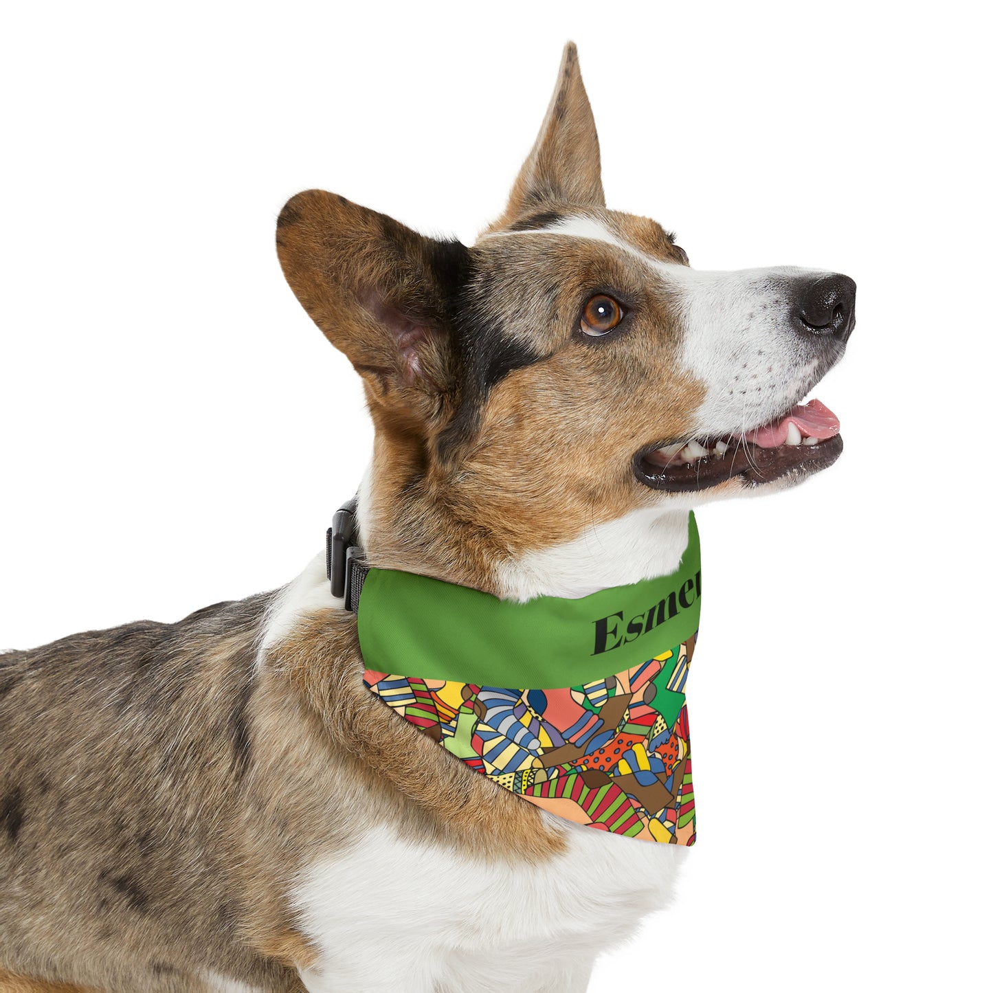 Personalized Multi Color Pet Bandana Collar