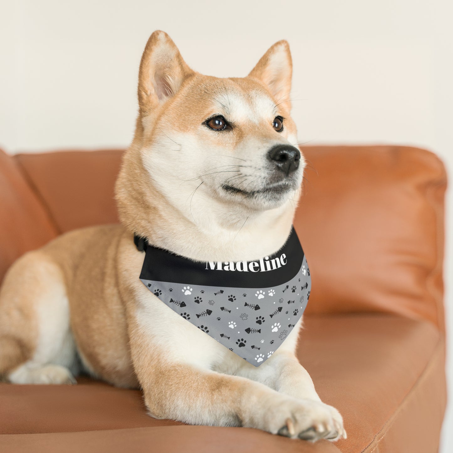 Personalized Black and White Pet Bandana Collar