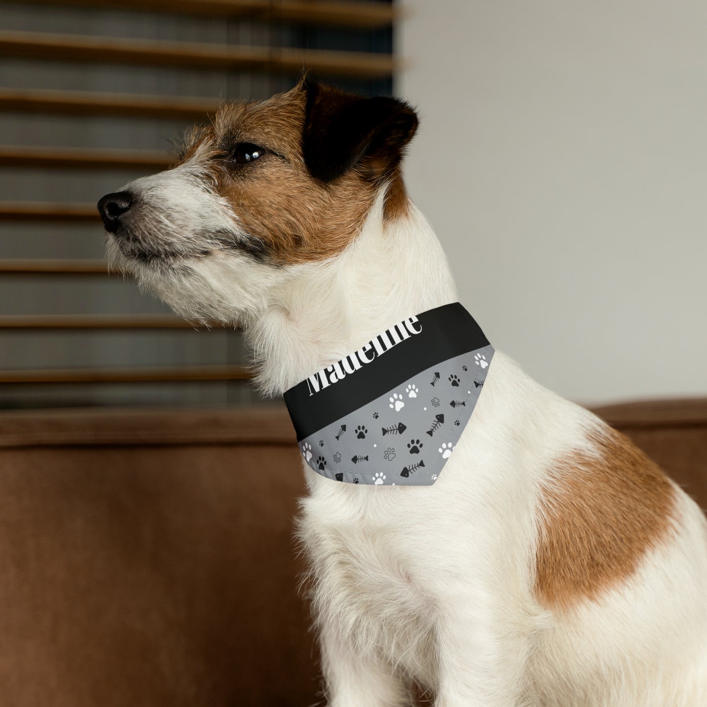 Personalized Black and White Pet Bandana Collar