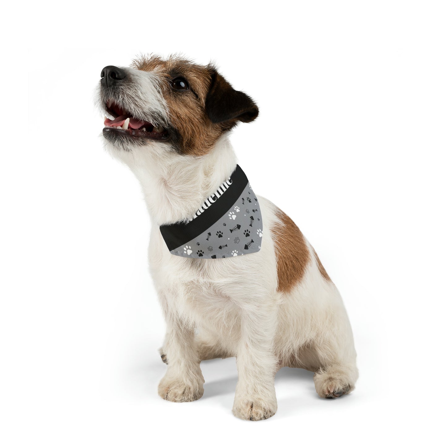 Personalized Black and White Pet Bandana Collar