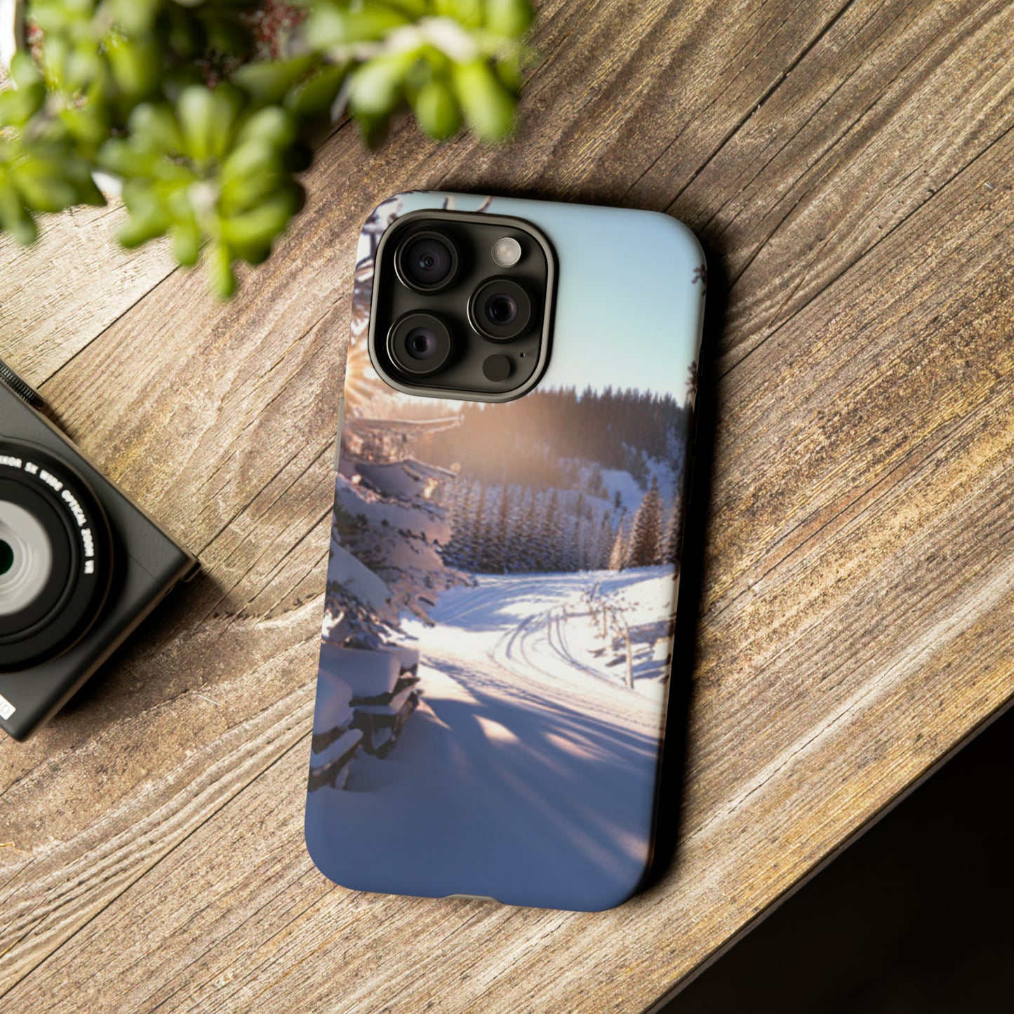 Winter Phone Tough Cases