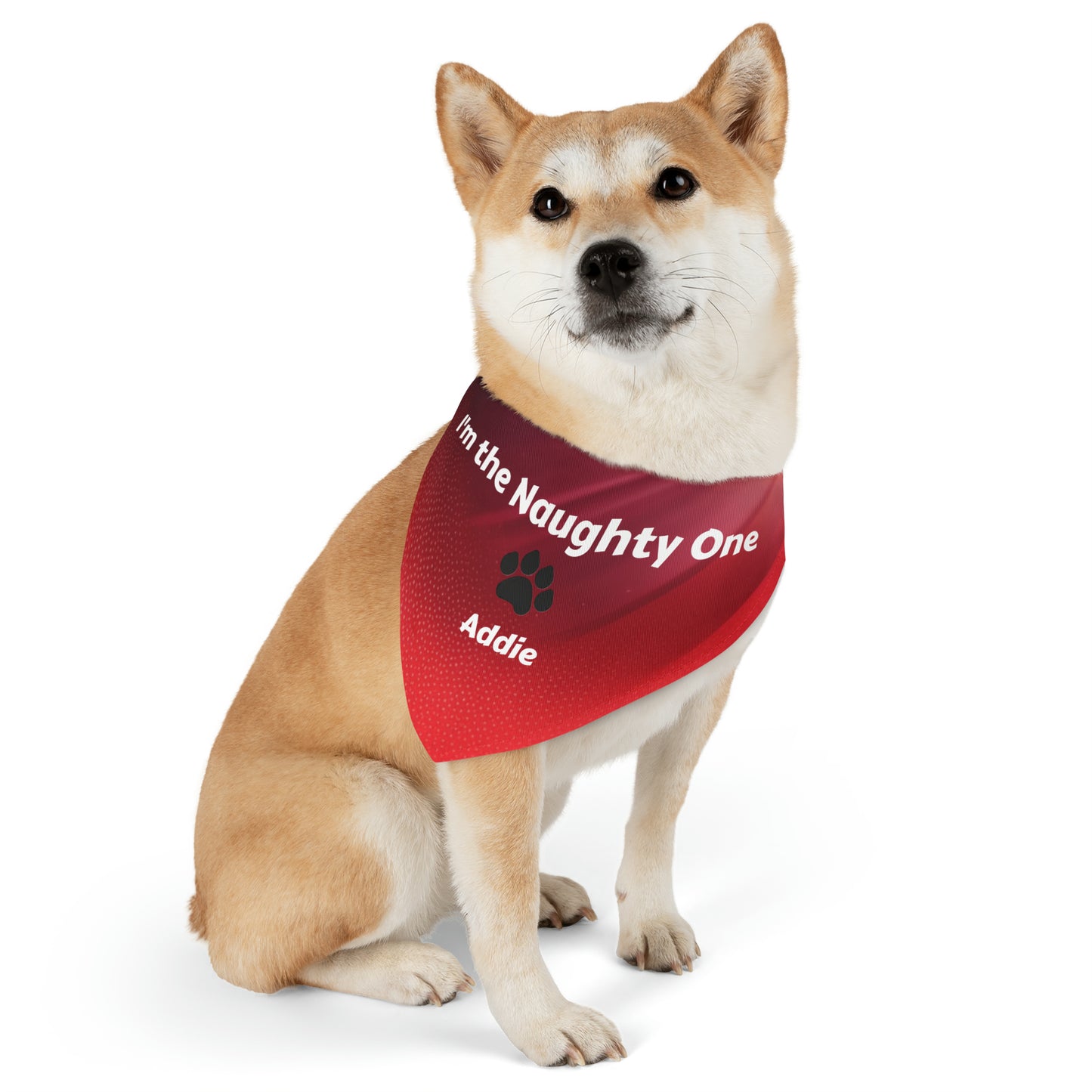 I'm the Naughty One Pet Bandana Collar