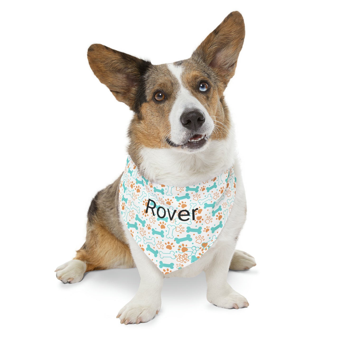 Personalized Pet Bandana Collar