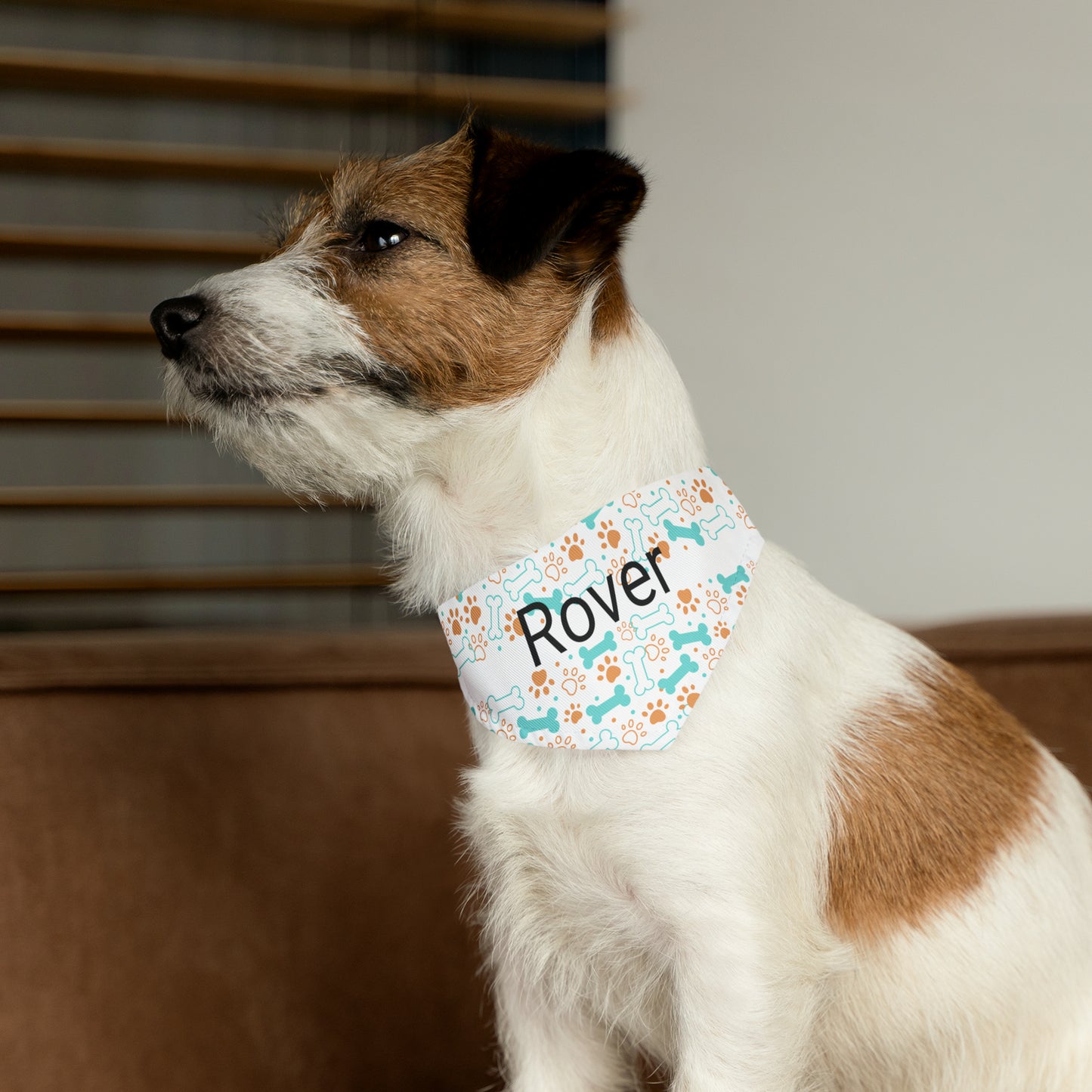 Personalized Pet Bandana Collar