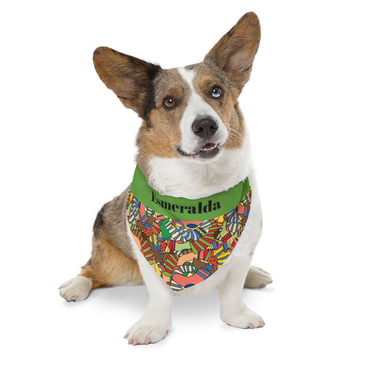 Personalized Multi Color Pet Bandana Collar