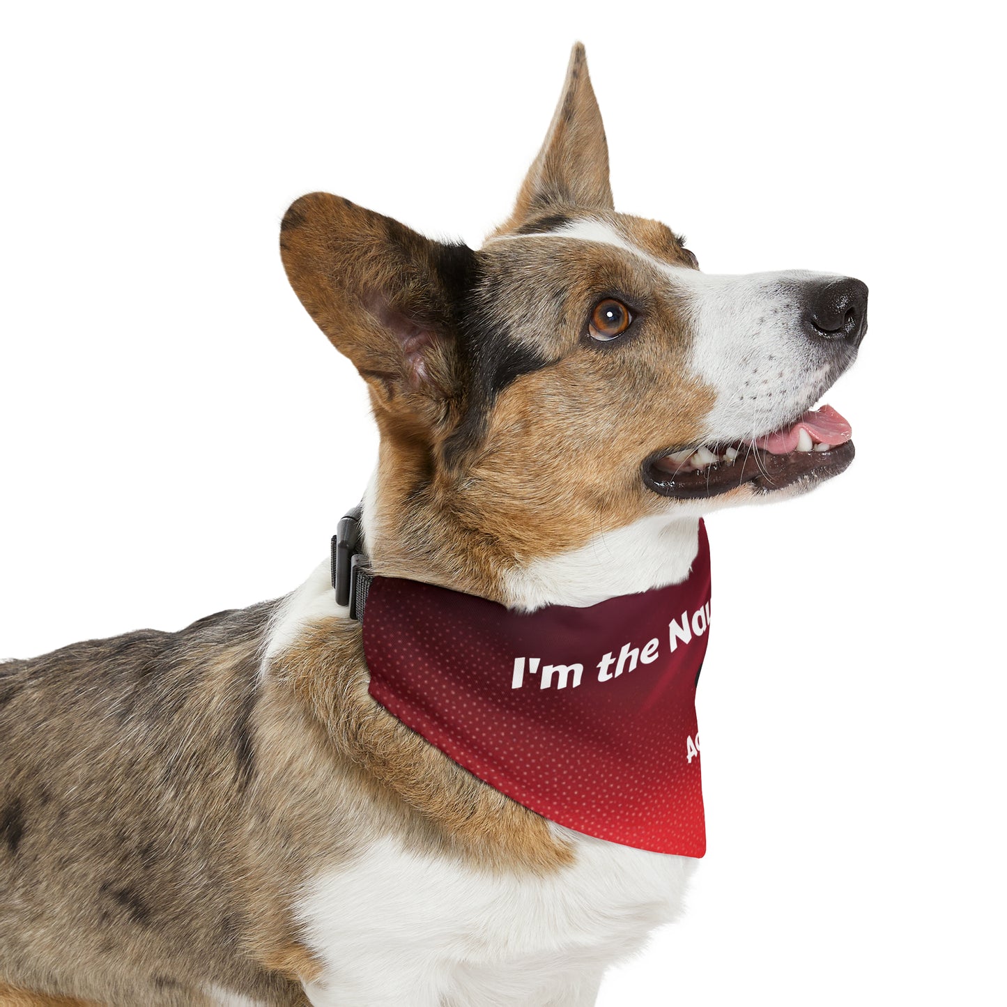 I'm the Naughty One Pet Bandana Collar