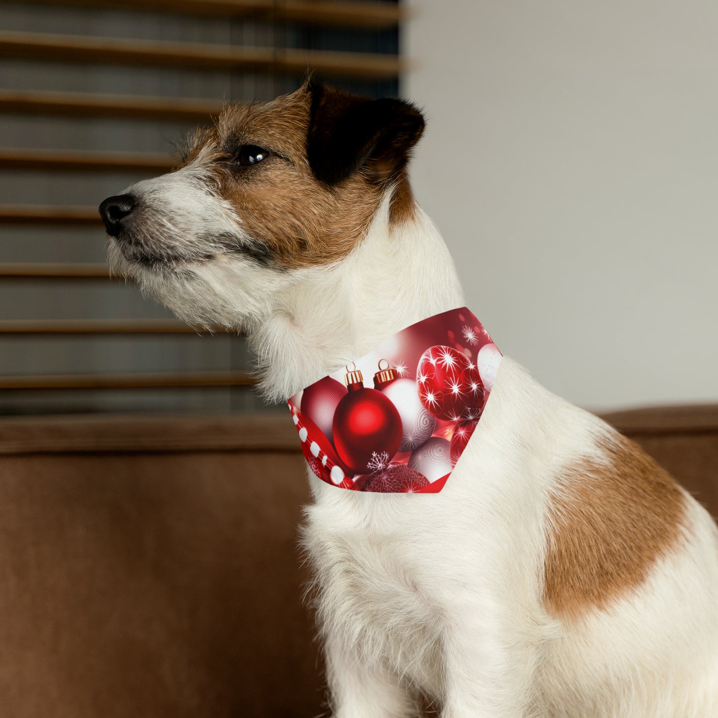 Pet Bandana Collar