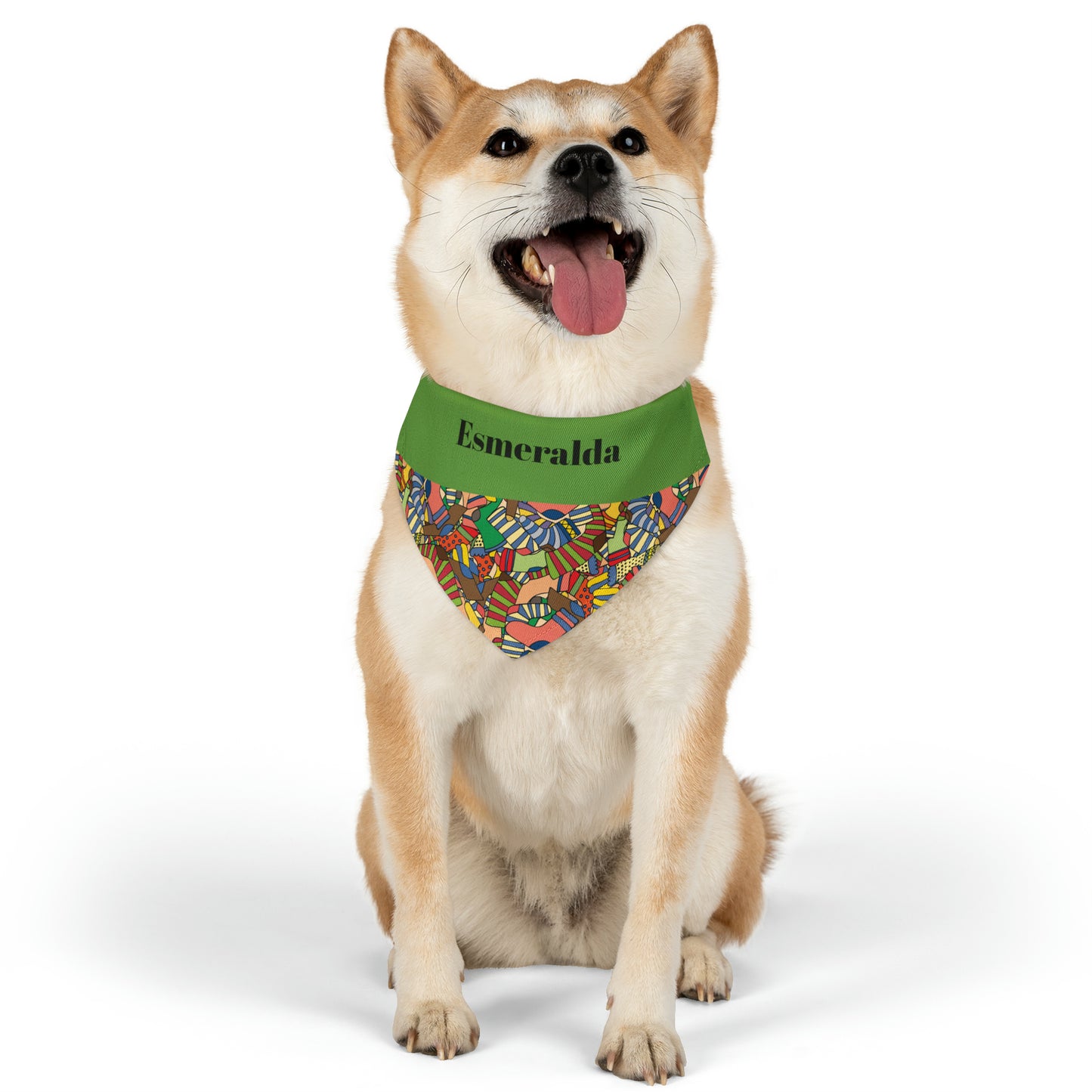 Personalized Multi Color Pet Bandana Collar