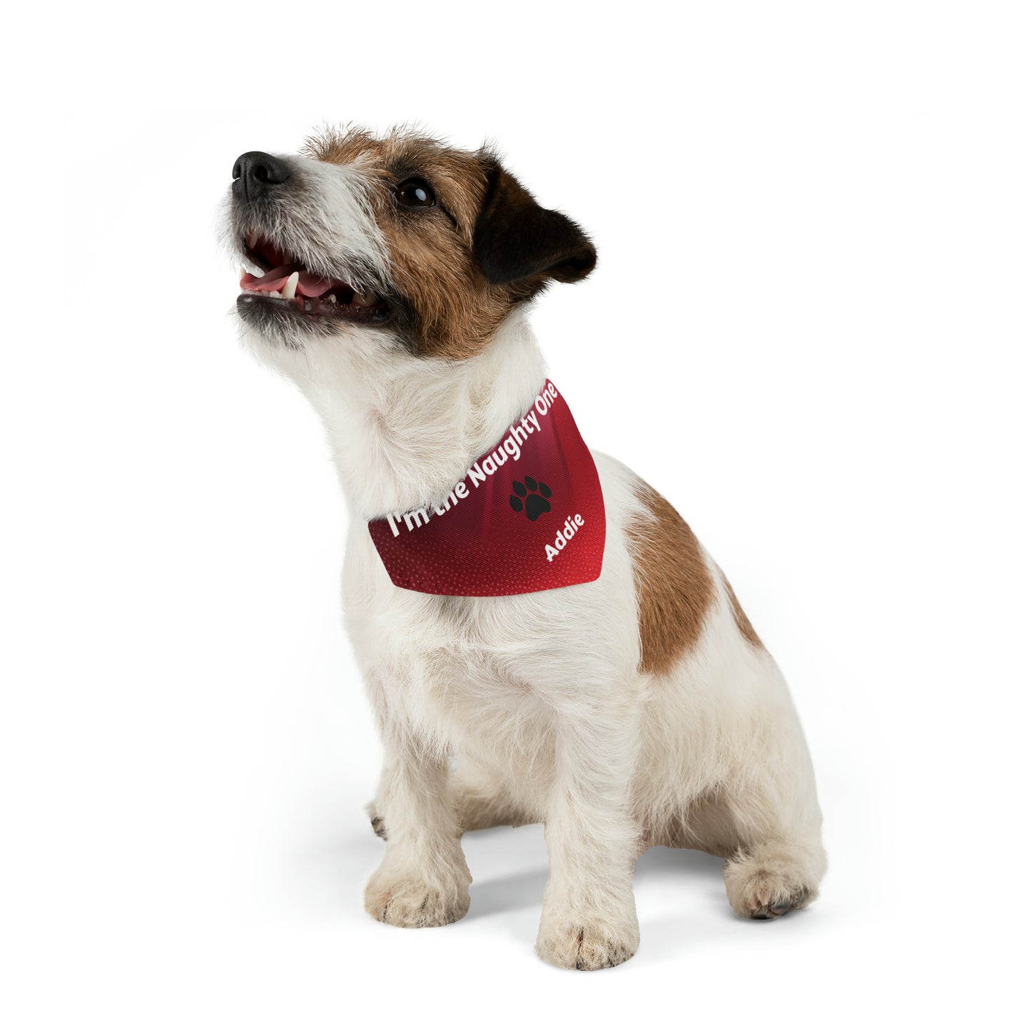 I'm the Naughty One Pet Bandana Collar