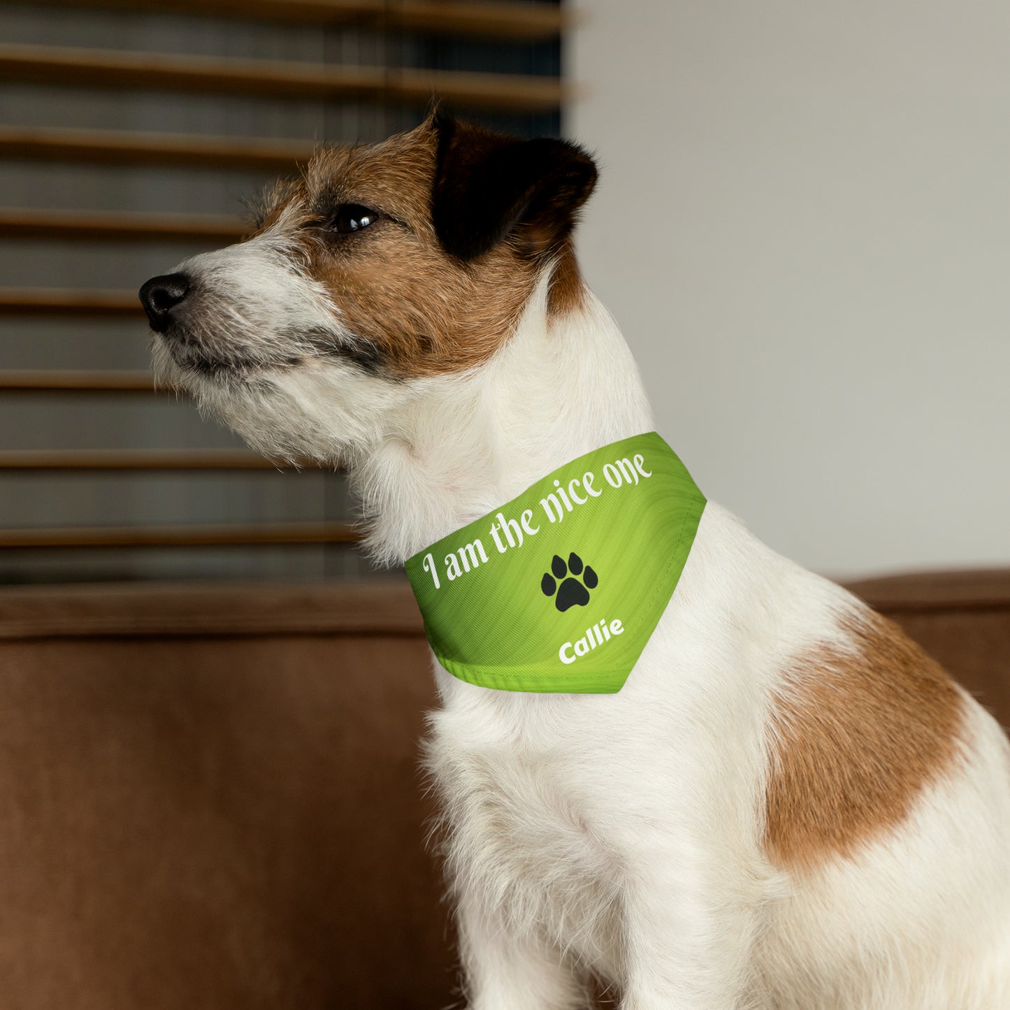 I'm the Nice One Pet Bandana Collar