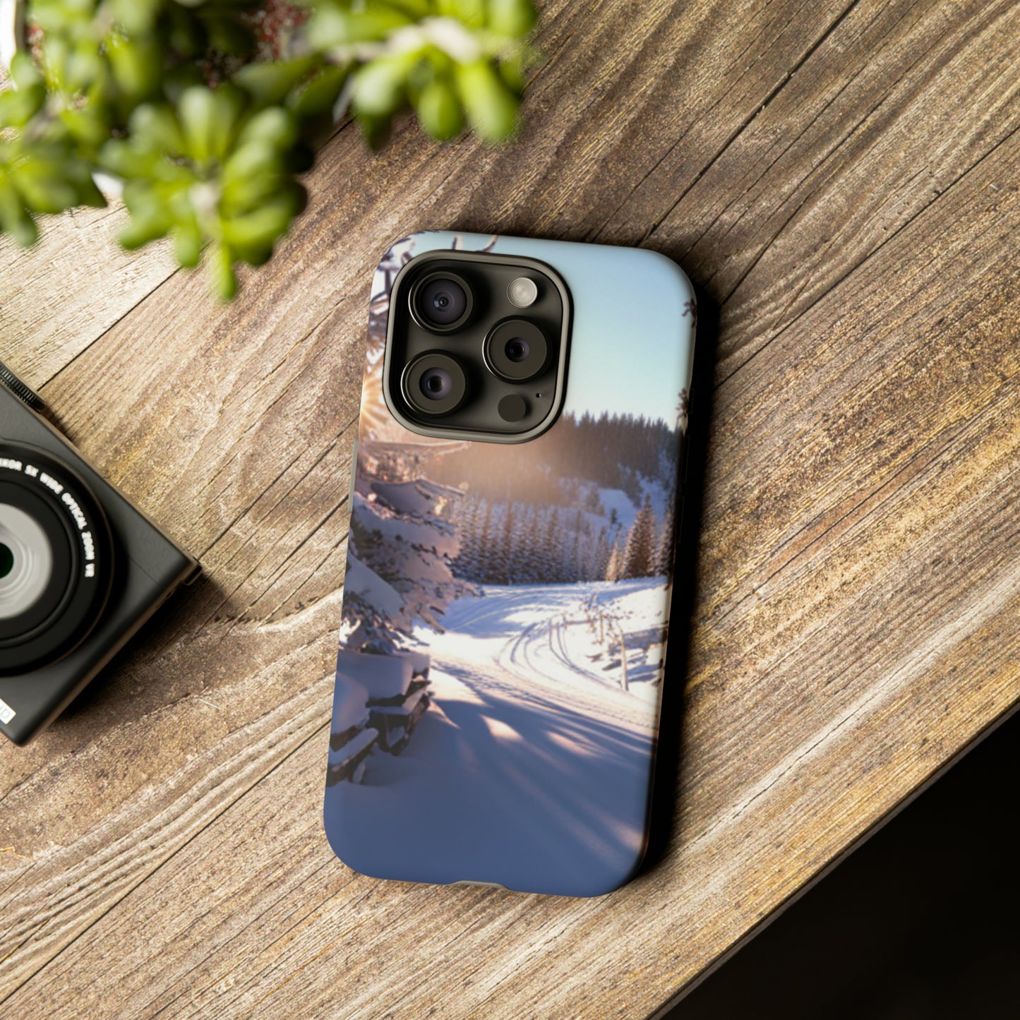 Winter Phone Tough Cases