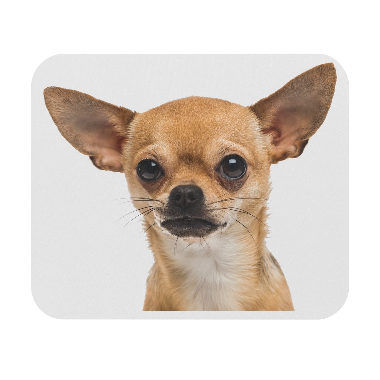 Chihuahua Mouse Pad (Rectangle)