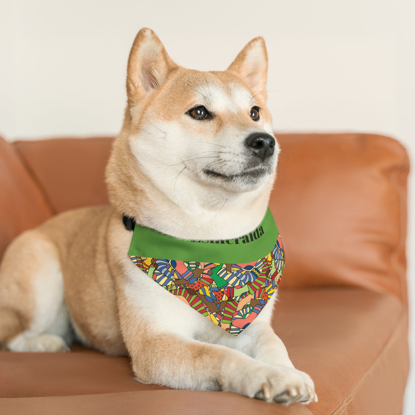 Personalized Multi Color Pet Bandana Collar