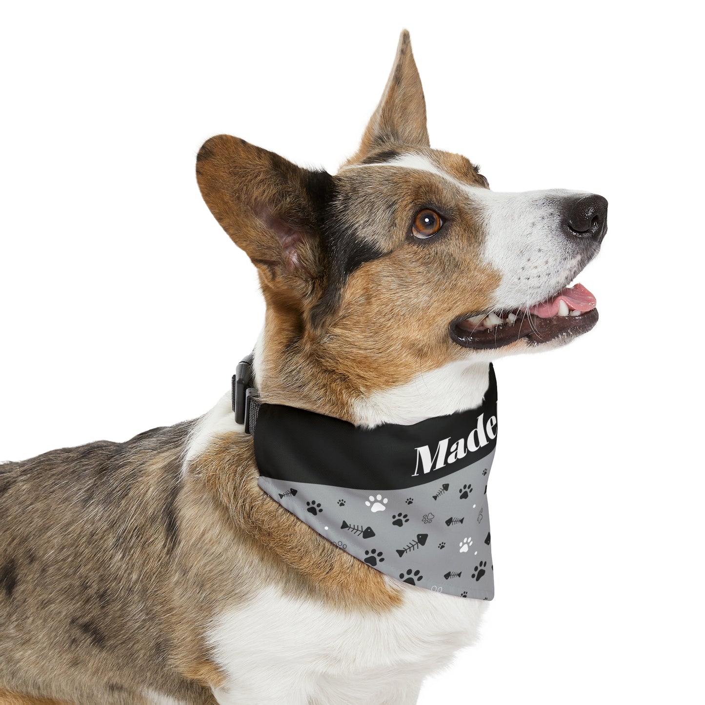 Personalized Black and White Pet Bandana Collar