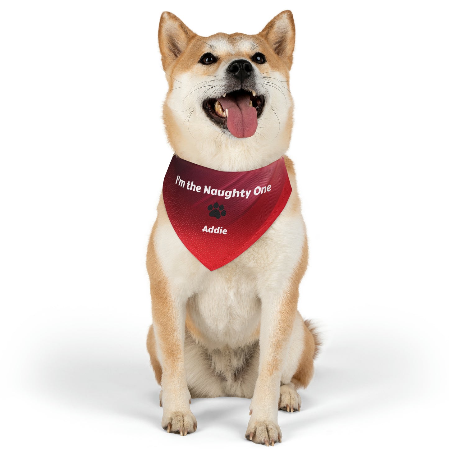 I'm the Naughty One Pet Bandana Collar