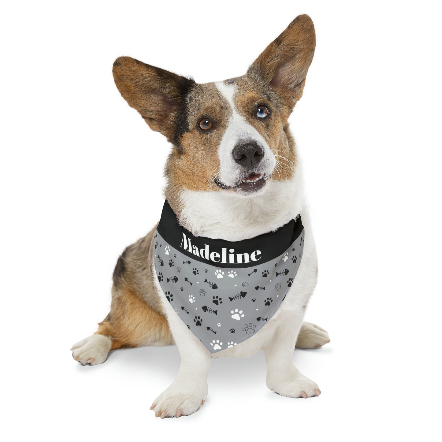 Personalized Black and White Pet Bandana Collar