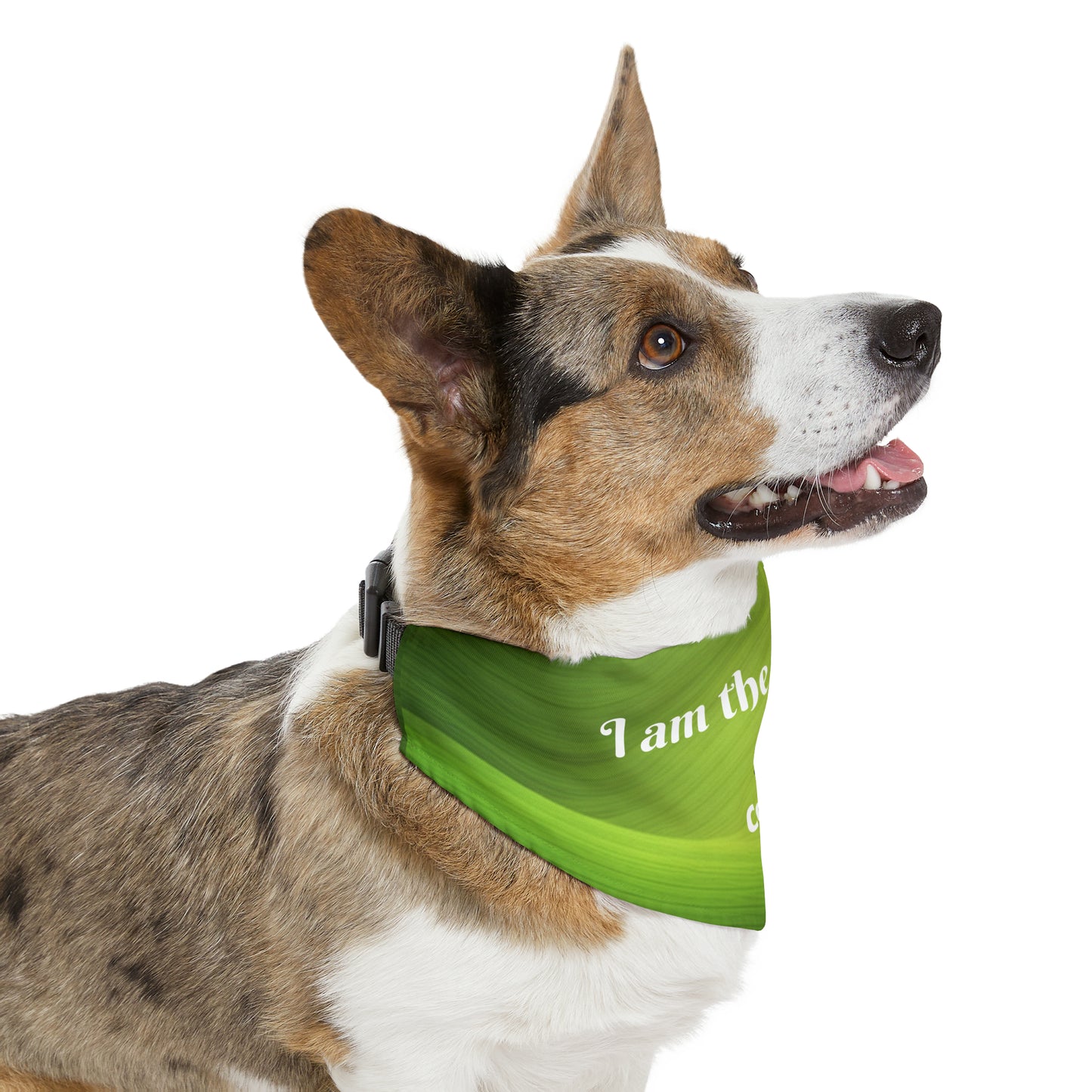 I'm the Nice One Pet Bandana Collar