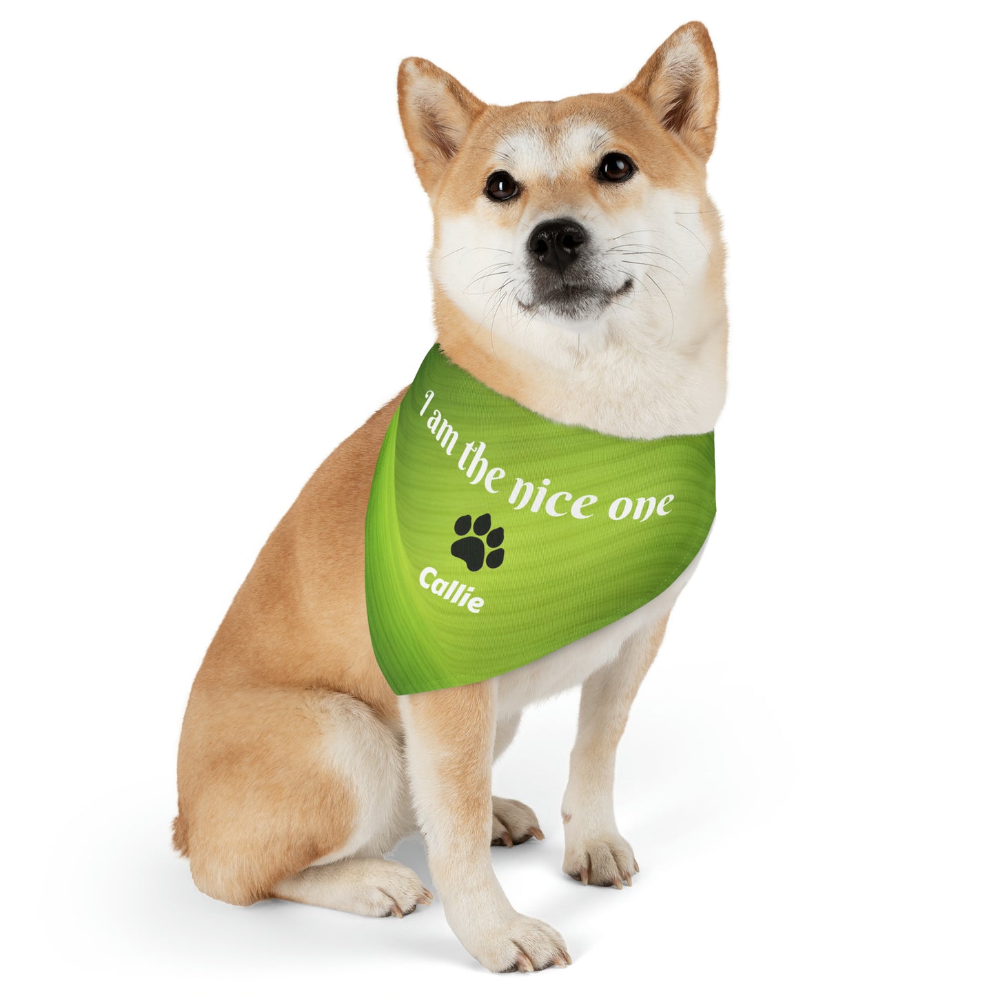 I'm the Nice One Pet Bandana Collar