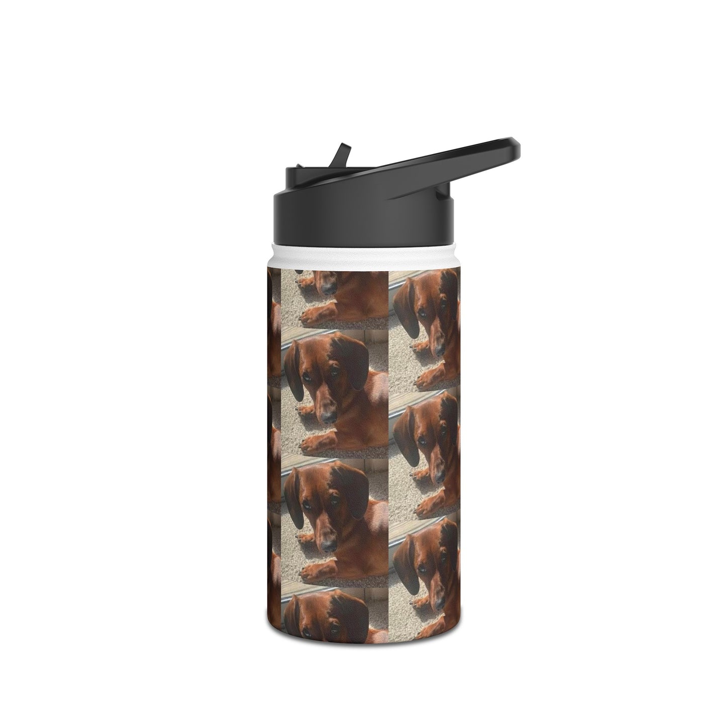 Customizeable Stainless Steel Water Bottle, Standard Lid