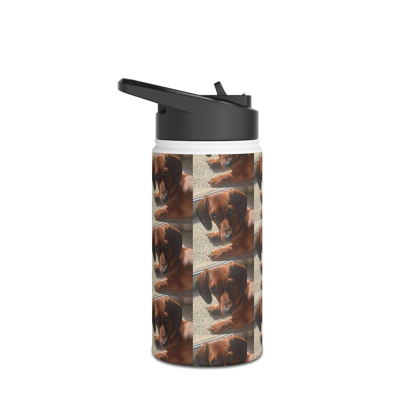 Customizeable Stainless Steel Water Bottle, Standard Lid