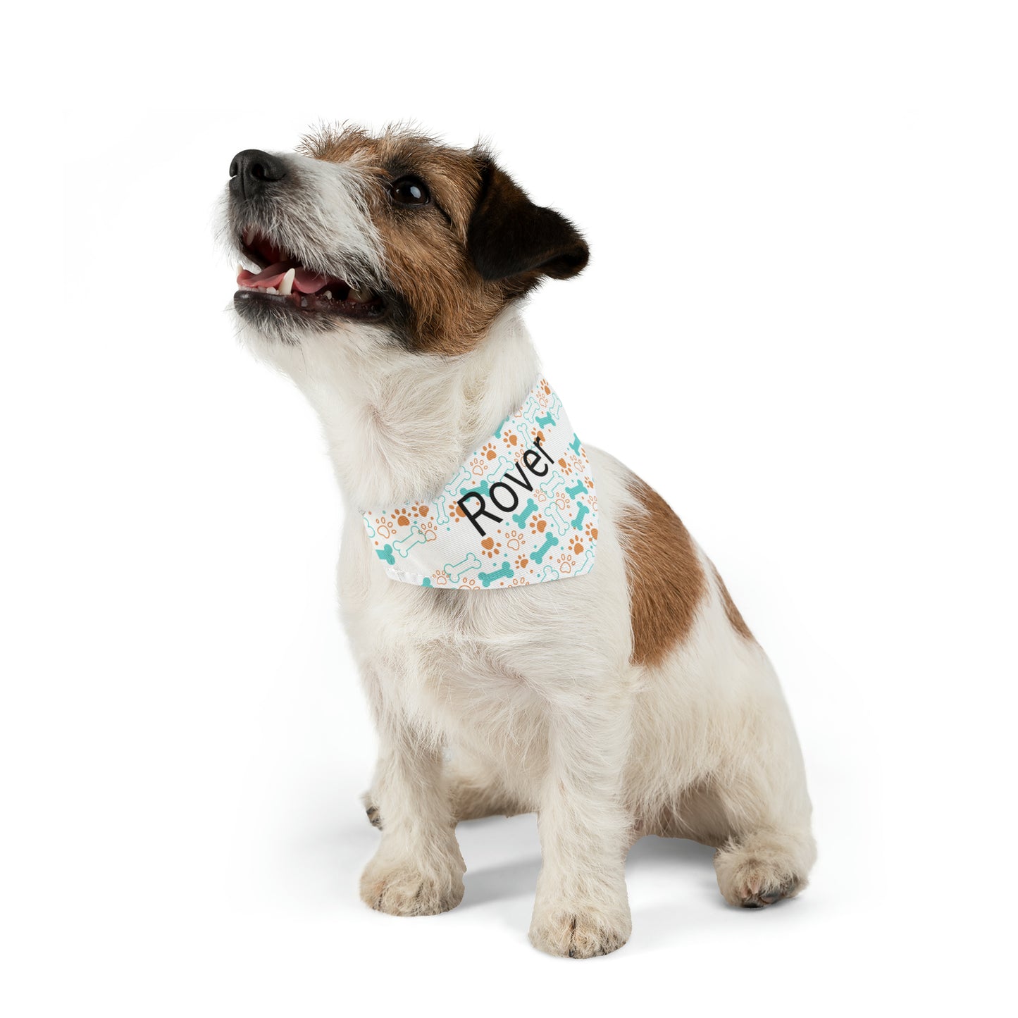 Personalized Pet Bandana Collar