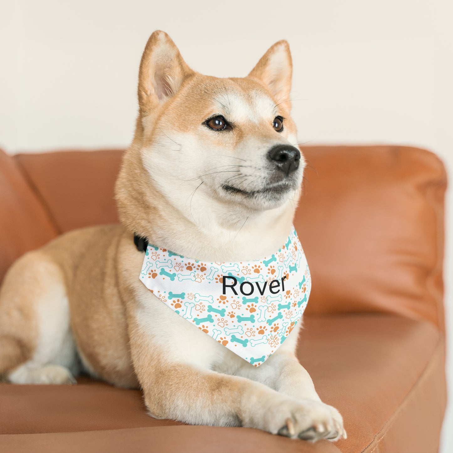 Personalized Pet Bandana Collar