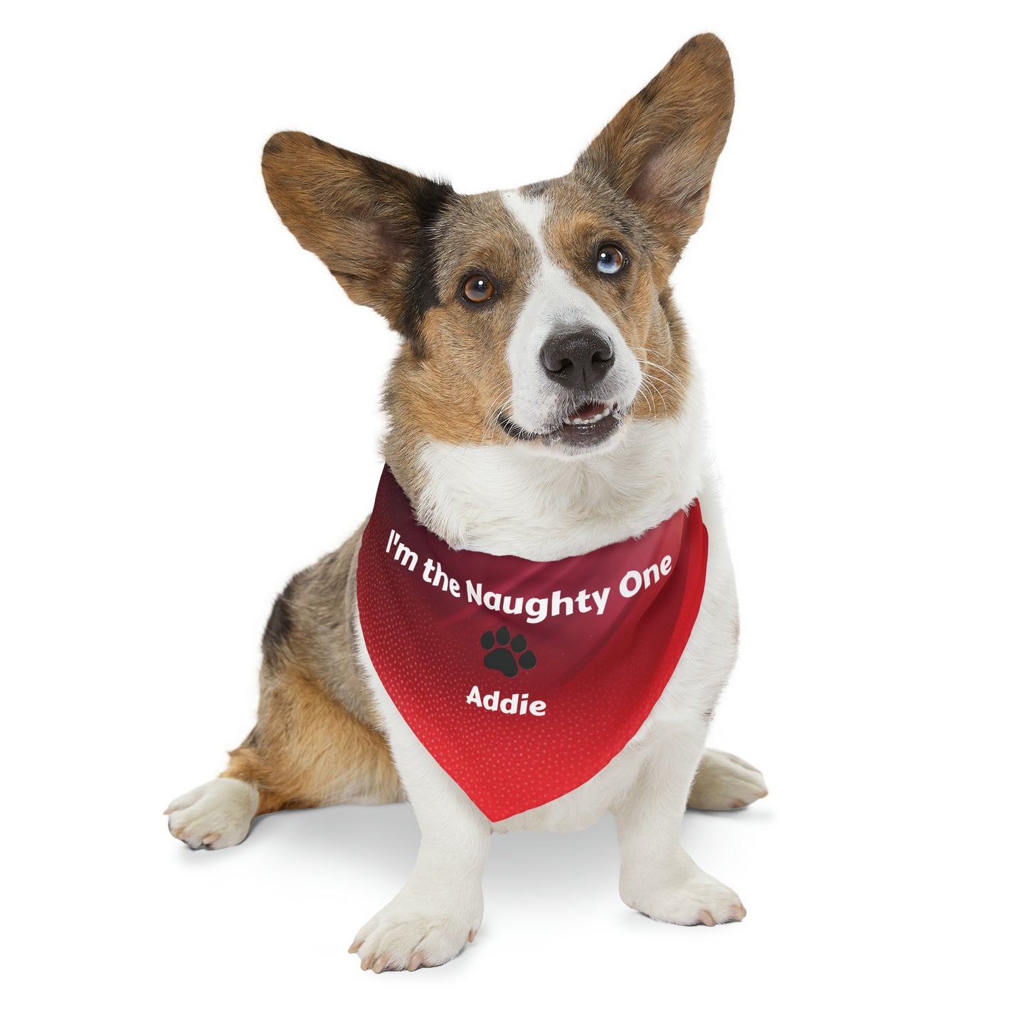 I'm the Naughty One Pet Bandana Collar