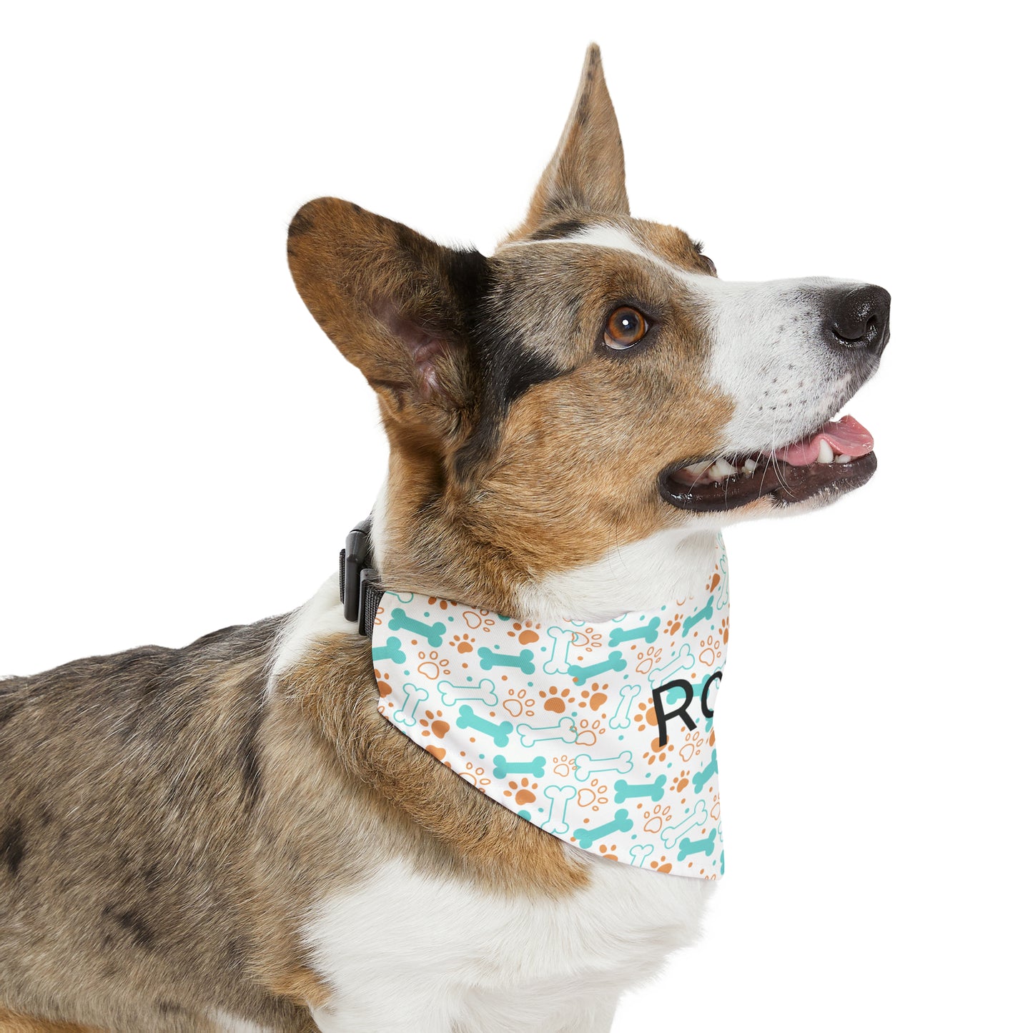 Personalized Pet Bandana Collar